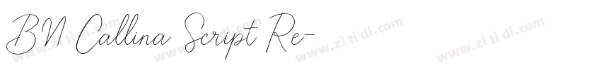 BN Callina Script Re字体转换 BN Callina Script Re字体转换